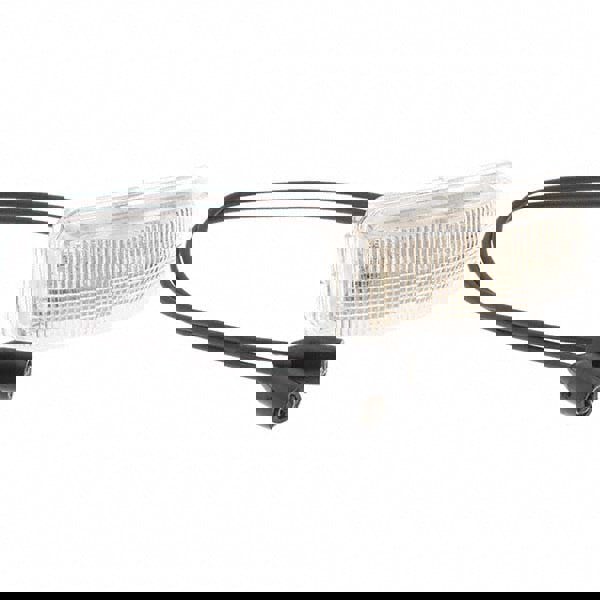 Clear Automotive Utility Light